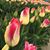 Beth Magstadt-Swanson's profile image