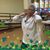 Dolores Cruz's profile image