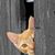 Gabriela Lee Parker's profile image
