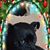 Nancy Northcutt Seely's profile image