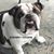 Beth Vanhousen Leggett's profile image