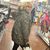 Tippy Davis's profile image
