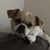 Linda Robinson's profile image