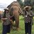 Sharon Lundgren's profile image