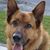 Jennifer Schuler's profile image