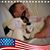 David Woolard's profile image