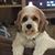 Debra Norcini-Richardson's profile image