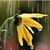 Holly Danner's profile image