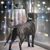 Bernadette Heitzman's profile image
