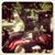 Enid-Pete Shortell's profile image