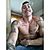 Igor Trindade's profile image