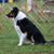 Tracie Johnson's profile image