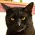 Steve White's profile image