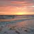 Tara Poston's profile image