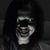 Nicole Smith's profile image