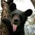 Mike Tomberlin's profile image