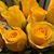 Wendy Conner-Heinle's profile image