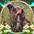 Suzanne Pani's profile image