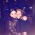 Kelly Palach's profile image