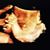 Shawn Bothma's profile image
