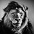 Andrew Alarcon's profile image