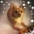 Freida Flores's profile image