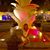 Bonnie Caron's profile image
