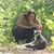 Katie Karrle's profile image