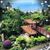 Luisa Alves Andrade's profile image