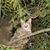 Deb Johnson's profile image