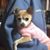 Judy Davis's profile image