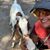 Whitney Tennyson's profile image