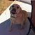Dustan Montgomery's profile image