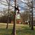 Jahn Warner Laster's profile image
