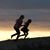 Cristina Catalano-Dockins's profile image