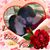 Sherry Siler's profile image