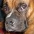 Jenny H Chase's profile image