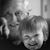 Scott Koehler's profile image