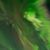 Ginny Basso's profile image