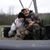 William Hursey's profile image
