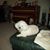 Darlene Bower's profile image