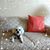 Lilly Madrazzo's profile image