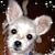 Mary J. Corrigan Fayet's profile image