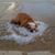 Vic Clutter's profile image