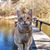 Sue Ackley Terrell's profile image