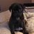 Donna Brookhart's profile image