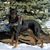 RC Cristner's profile image