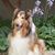 Stacy Wellington's profile image