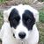 Juleen Mowers-Pardini's profile image