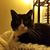 Kelli McNamara Rigsby's profile image
